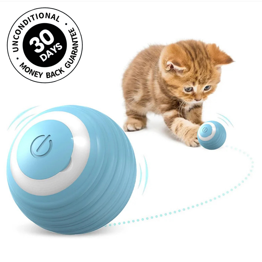 Ball Buddy™...Excite And Engage Your Best Friend Now!