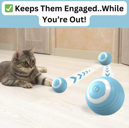 Ball Buddy™...Excite And Engage Your Best Friend Now!