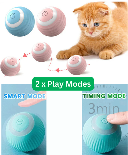 Ball Buddy™...Excite And Engage Your Best Friend Now!